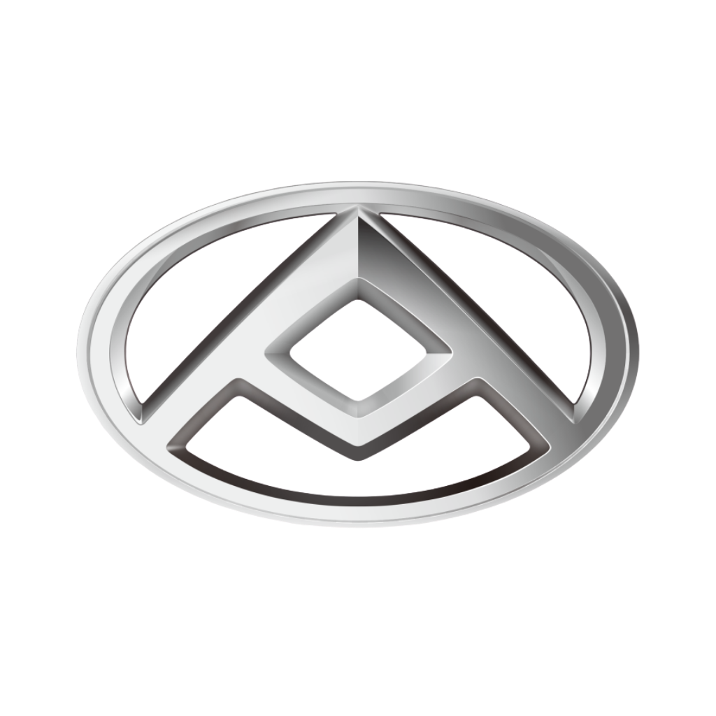 LDV